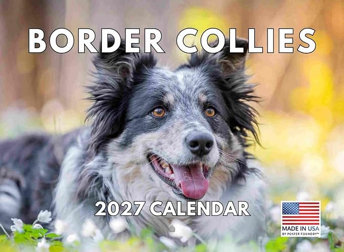 Border Collie Calendar 2027 Monthly Wall Calender 12 Month | American Made In The USA