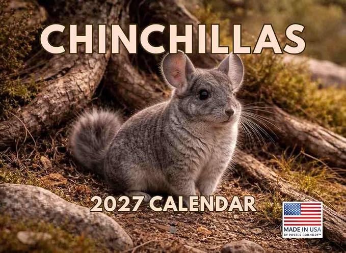 Chinchilla Calendar 2027 Monthly Wall Calender 12 Month