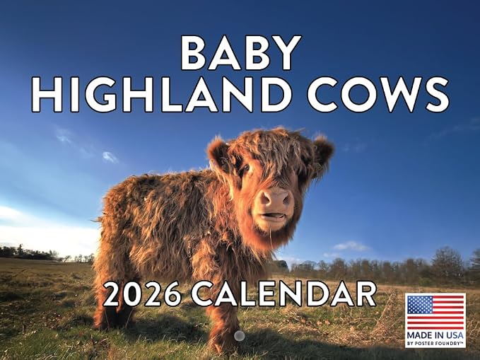 Baby Highland Cow Calendar 2026 Wall Cows Gifts For Cow Lovers Monthly Calender 12 Month | American Made In The USA