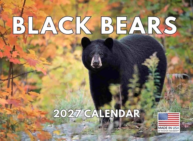 Poster Foundry Black Bear Calendar 2027 Monthly Wall Calender 12 Month | American Made In The USA