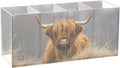 Highland Cow Cattle Acrylic Pencil Pen Holder Desk Accessories Holder, Cosmetic Brush Organizer Modern Design Desktop Stationery Organizer for Office School and Home 7.87 x 2.48 x 3.54 In