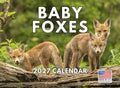 Baby Fox Calendar 2027 Monthly Wall Calender 12 Month