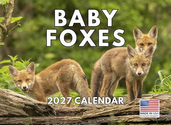 Baby Fox Calendar 2027 Monthly Wall Calender 12 Month