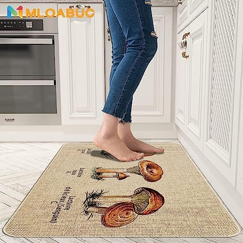 Kitchen Rugs and Mats Set of 2,Floor Mats for Home Kitchen Decor Mat