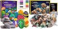NATIONAL GEOGRAPHIC Rock Painting and Rock Collection Kit