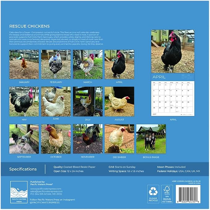 Rescue Chickens 2027 Wall Calendar, 12 x 24 Hanging Pacific Waters Press