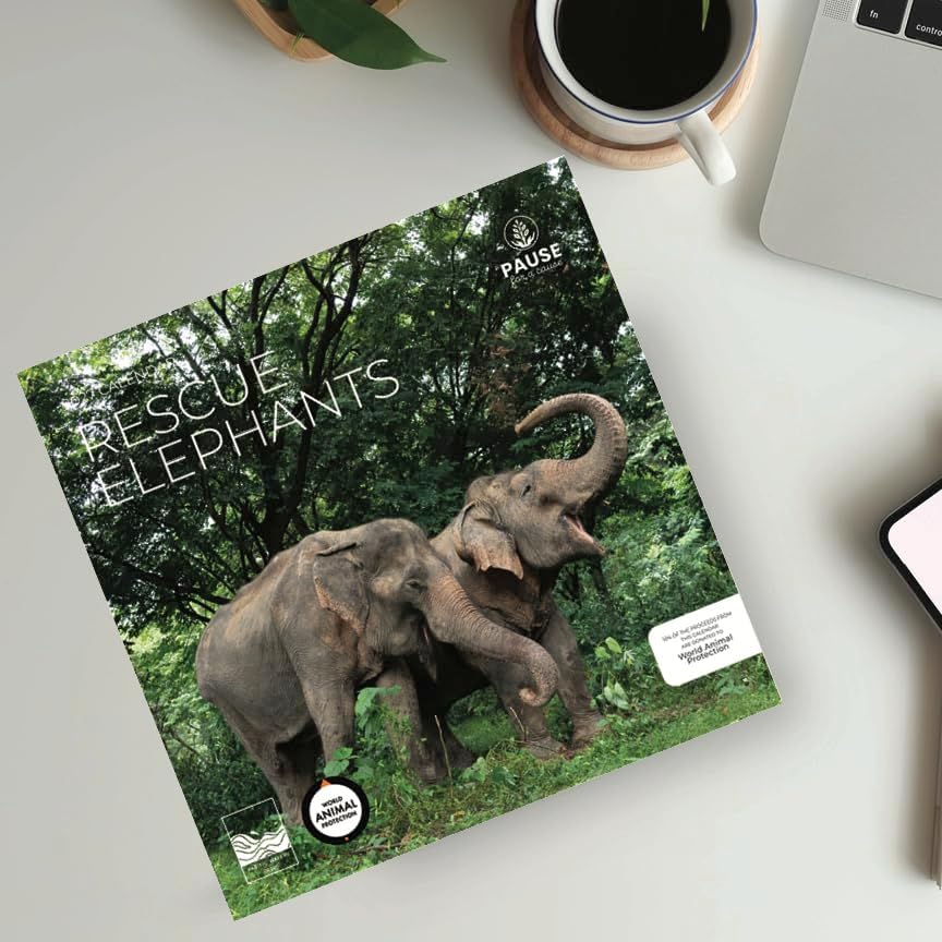 2027 Rescue Elephant Wall Calendar, 12 x 24 Hanging Pacific Waters Press