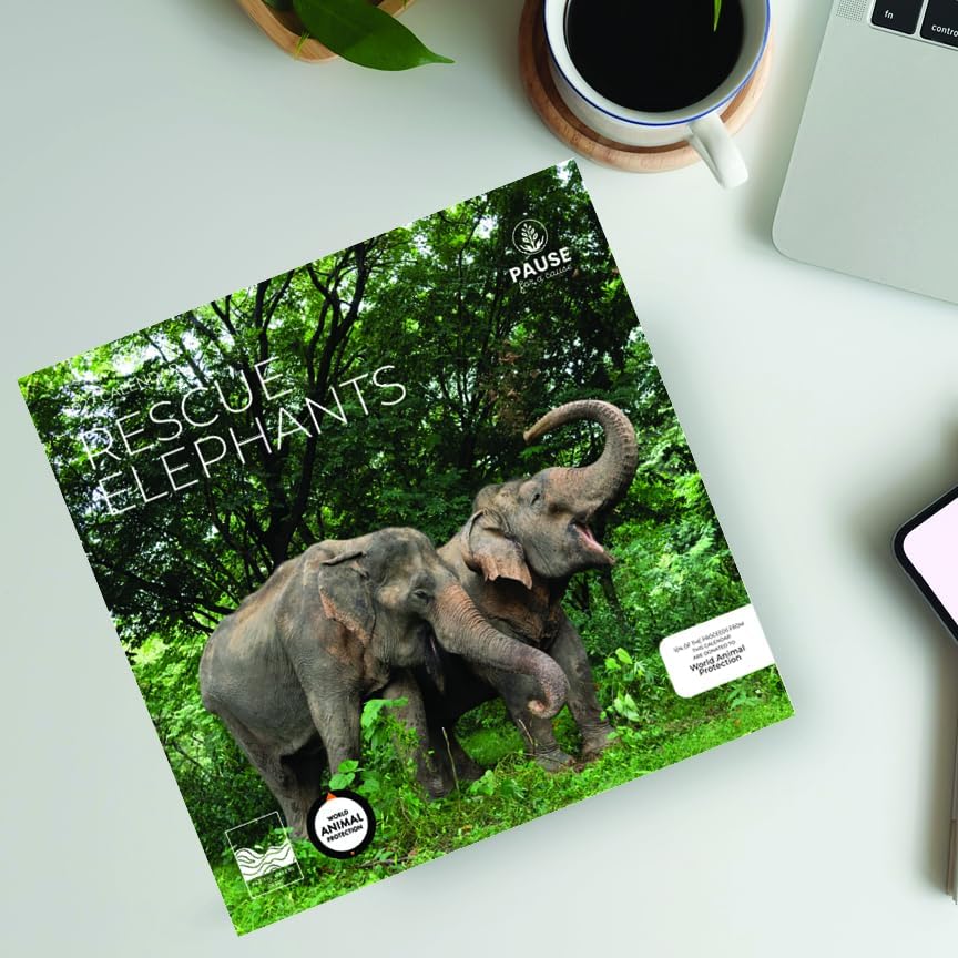 2027 Rescue Elephant Wall Calendar, 12 x 24 Hanging Pacific Waters Press