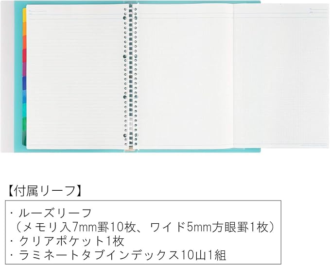 Maruman Session 30-Ring Binder, 5 Tab Dividers, A4 8.27"x11.69", Light Blue | Flexible Translucent Cover, Holds Up To 90 Sheets, Erasable Tabs, Storage Pocket, For Loose-Leaf Organization, Made in Japan