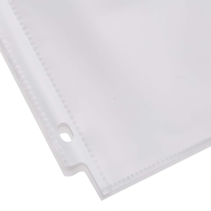 Amazon Basics Heavy Duty Non-Glare Sheet Protector for Documents, 3 Ring Binder, Top Loading, Letter Size 8.5 x 11 inch, Clear, 100-Pack
