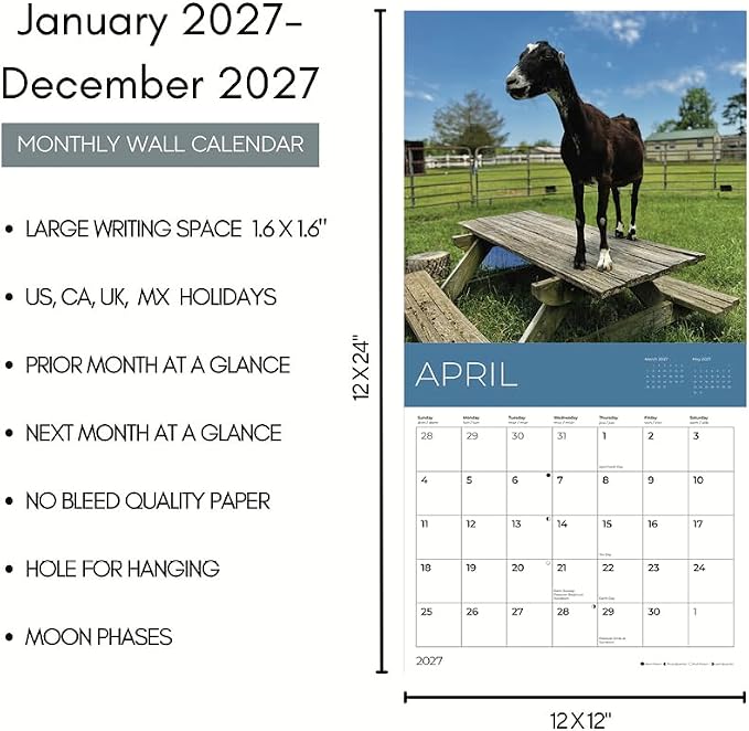 Rescue Goats 2027 Wall Calendar, 12 x 24 Hanging Pacific Waters Press