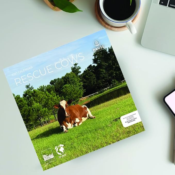 Rescue Cows 2027 Wall Calendar, 12 x 24 Hanging Pacific Waters Press