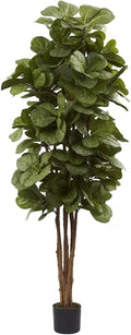 Nearly Natural 6 ft Artificial Fiddle Leaf Fig Tree with Nursery Pot | 6 Natural Trunks, 270 Lush Green Leaves, Maintenance-Free, Included Planter Pot, Ideal for Home Library or Office