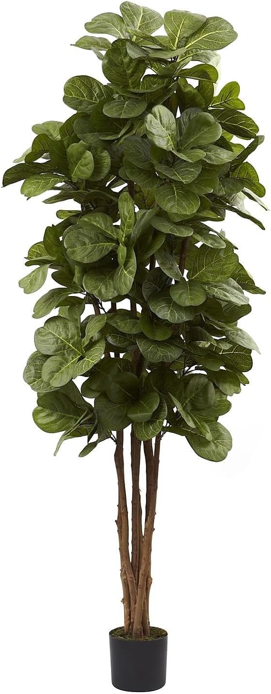 Nearly Natural 6 ft Artificial Fiddle Leaf Fig Tree with Nursery Pot | 6 Natural Trunks, 270 Lush Green Leaves, Maintenance-Free, Included Planter Pot, Ideal for Home Library or Office