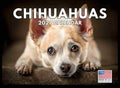 Chihuahua Calendar 2027 Monthly Wall Calender 12 Month