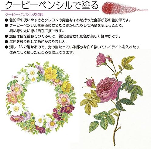 Sakura Craypas FY30NU Coupy Colored Pencils, 30 Colors, Color On Color