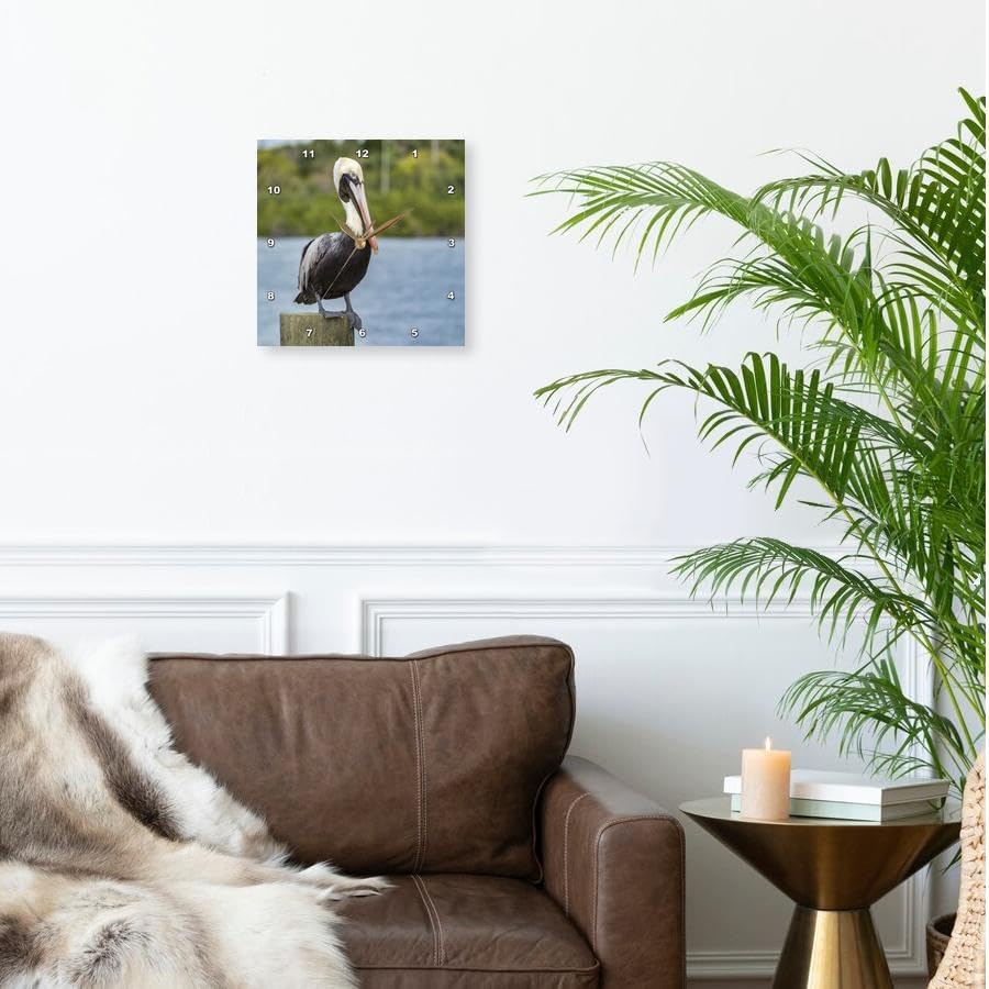 3dRose Wall Clock Silent - 10 inch - Brown Pelican, New Smyrna Beach, Florida, USA - Animals