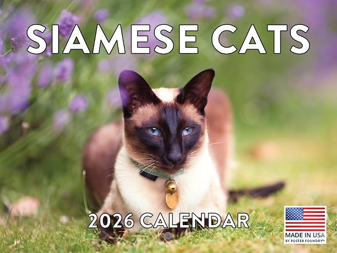 Siamese Cat Calendar 2026 Monthly Wall Calender 12 Month | American Made In The USA