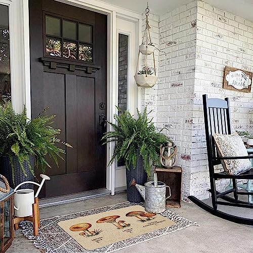 Mloabuc Kitchen Rugs and Mats,Washable Non-Slip Floor Mats Door Mat