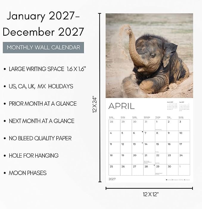 Baby Elephants 2027 Wall Calendar, 12 x 24 Hanging Pacific Waters Press