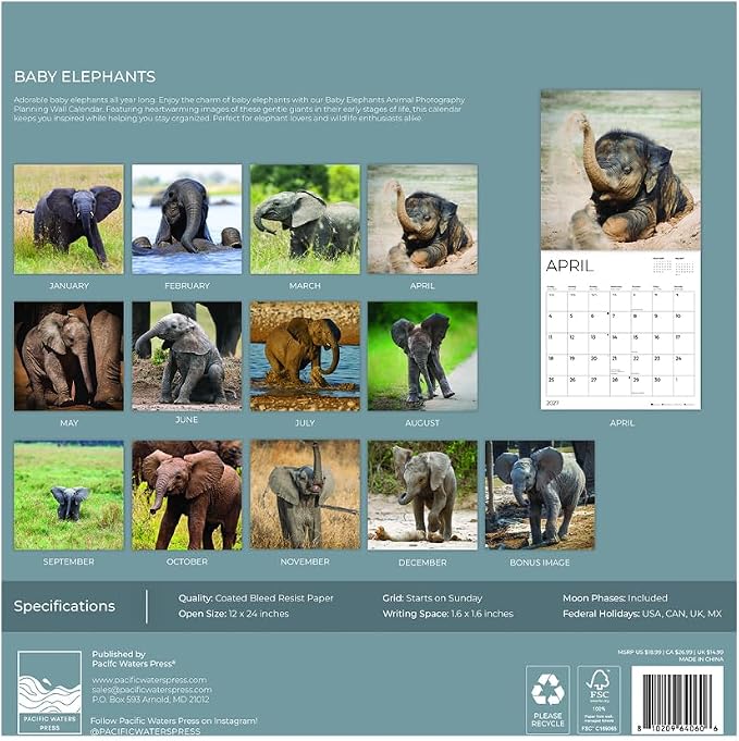 Baby Elephants 2027 Wall Calendar, 12 x 24 Hanging Pacific Waters Press