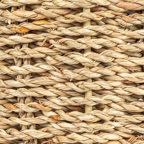 Household Essentials Woven Wastebin with Scalloped Edge, Natural