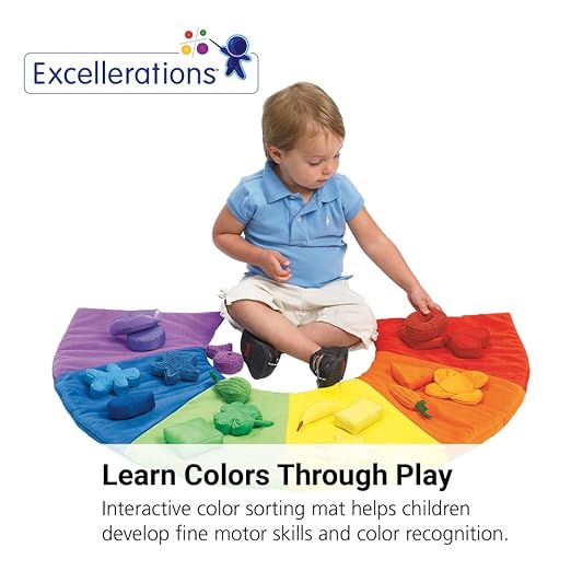 Excellerations Colorful Sorting and Counting Toy for Toddlers, 19 Plush Sorting Pieces and 1 Washable Plush 24 inches H x 36 inches W Floor mat, 18 Months and Up, Preschool Learning Activities