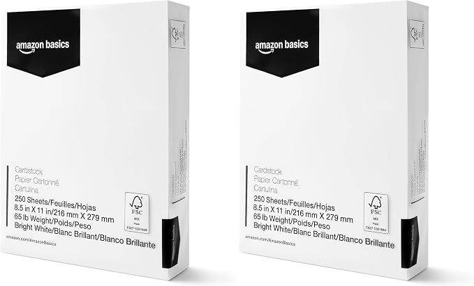 Amazon Basics Cardstock Paper, 8.5" x 11", 65 lb/176 gsm, 96 Bright White, 250 Sheets (Pack of 2)