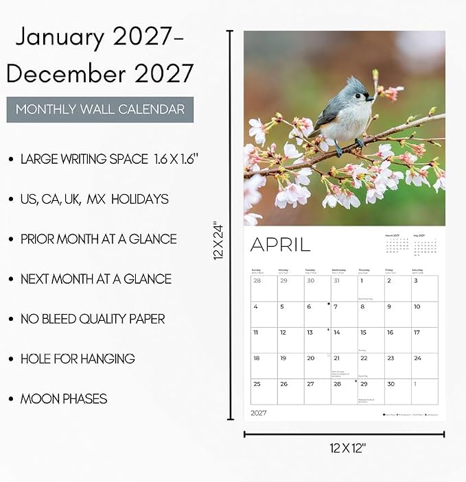 Bird Watcher 2027 Wall Calendar, 12 x 24 Hanging Pacific Waters Press