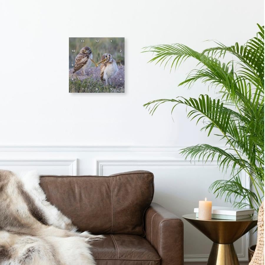 3dRose Wall Clock Silent - 13 inch - USA, WY. Two Young Burrowing Owls Stand at The Edge of Their Burrow - Animals