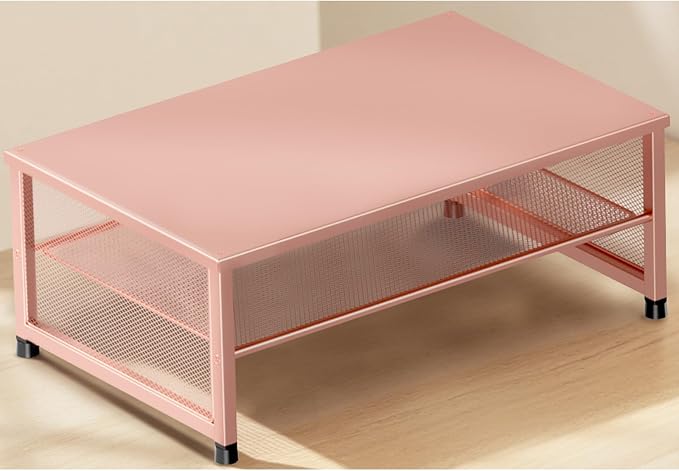ECOLOVI 2-Tier Computer Monitor Stand Riser, Printer & Laptop Stand, Office Desk Accessories, Workspace Desk Organizer for Home Office Supplies, Rose