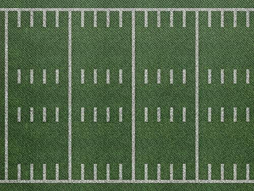 Teacher Created Resources Fun Size Sports Field Better Than Paper® Bulletin Board Roll (TCR77446)