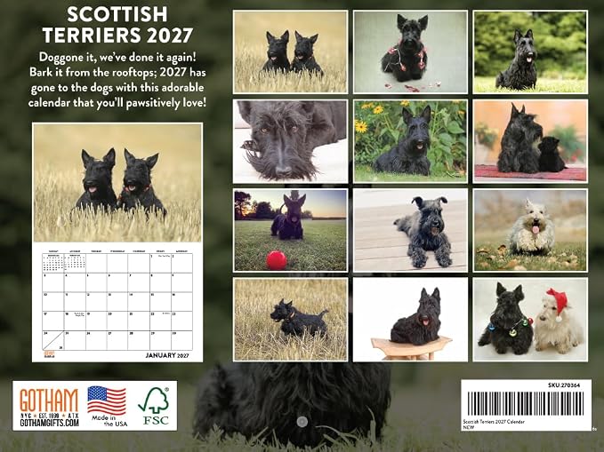 Scottish Terrier Calendar 2027 Scottie Monthly Wall Calender 12 Month