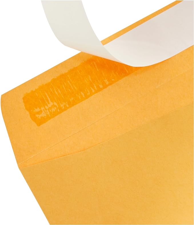 Amazon Basics Catalog Self Seal Mailing Envelopes for Documents, Peel and Seal, Brown Kraft, 250 Count, 9" x 12" (Pack of 2)
