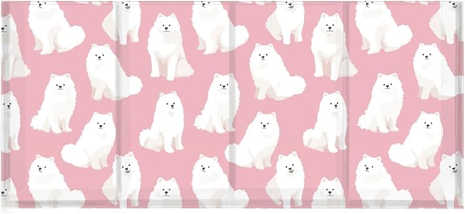 Cute Samoyed Dog 4 Compartment Acrylic Pencil Holder, Printed Pencil Holder Makeup Brush Holder Acrylic Desktop Accessories for Pencil Cutlery Toiletries Storage