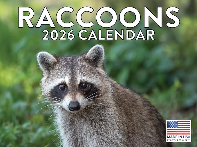 Raccoon Calendar 2026 Wall 12 Month Raccoons Gifts For Racoon Lovers Women Men Monthly Calender | American Made In The USA