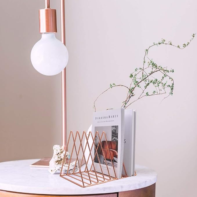 9 Slot Magazine Rack Book Record Holder, Desktop Iron Storage Rack Bookshelf Multifunction Triangle File Organizer Sorter for Decor Home Office, Rose Gold Pack of 2