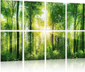 YPY Sound Proofing Panels, Sound Absorbing Wall Art Forest, Acoustic Panels