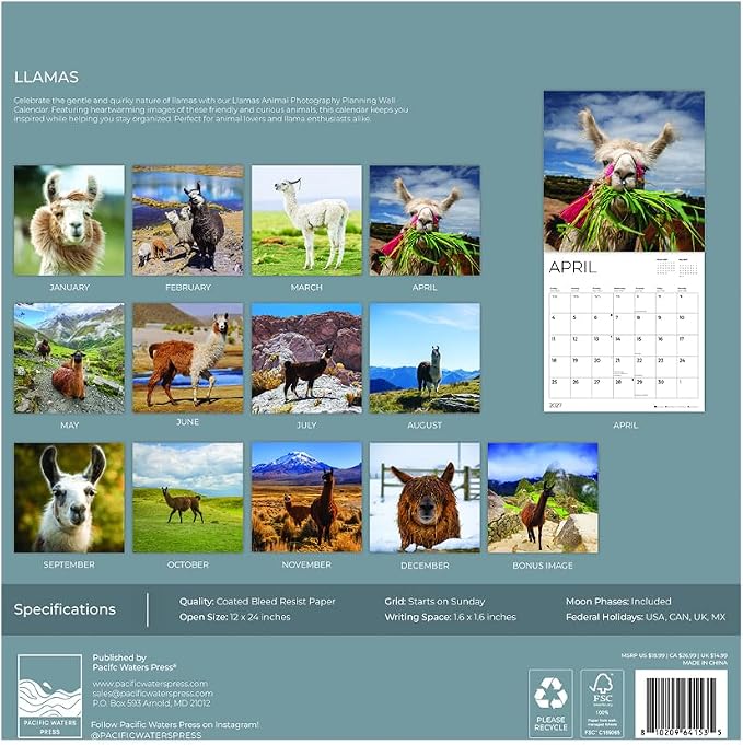 Llamas 2027 Wall Calendar, 12 x 24 Hanging Pacific Waters Press