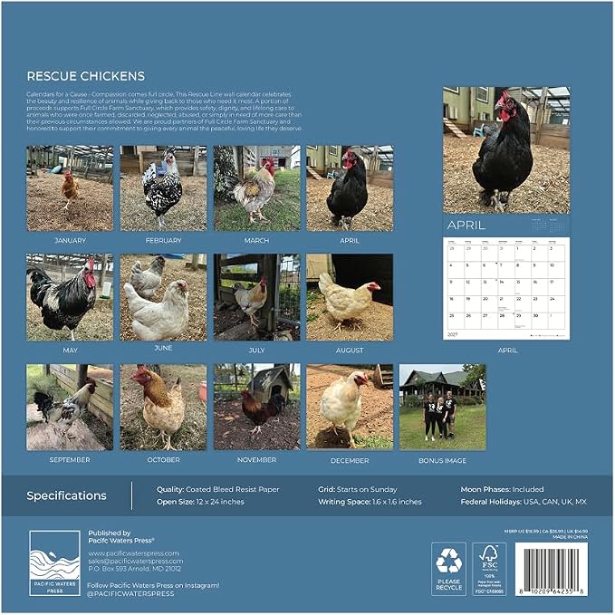Rescue Chickens 2027 Wall Calendar, 12 x 24 Hanging Pacific Waters Press