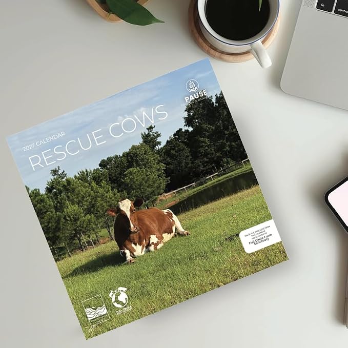 Rescue Cows 2027 Wall Calendar, 12 x 24 Hanging Pacific Waters Press