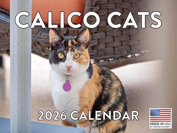 Calico Cat Calendar 2026 Monthly Wall Calender 12 Month | American Made In The USA