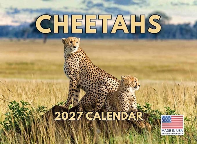 Cheetah Calendar 2027 Monthly Wall 12 Month Kids Safari Theme