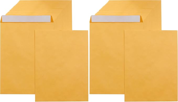 Amazon Basics Catalog Self Seal Mailing Envelopes for Documents, Peel and Seal, Brown Kraft, 250 Count, 9" x 12" (Pack of 2)