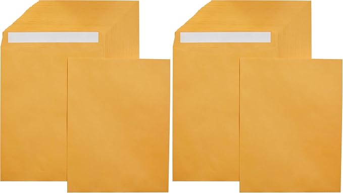 Amazon Basics Catalog Mailing Envelopes,Peel and Seal,10x13 Inch,Brown Kraft,250 Count (Pack of 2)