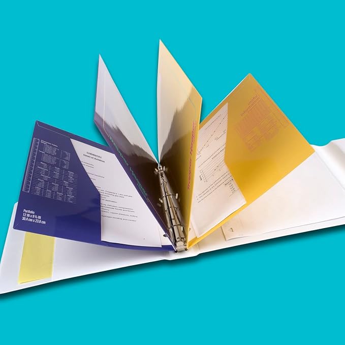 Mead Trapper Keeper Binder, Retro Design, 1 Inch Binder with Folders and Pockets, Holds 8-1/2" x 11" Paper, Colorblock (260038FN-ECM)