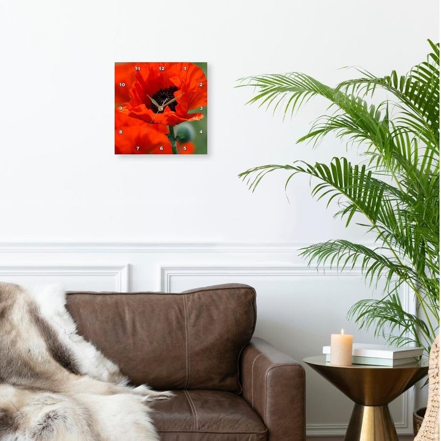 3dRose dpp_29205_1 Beautiful Red Poppy-Wall Clock, 10 by 10-Inch