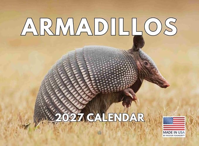 Armadillo Calendar 2027 Monthly Wall Calender 12 Month