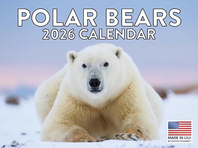 Polar Bear Calendar 2026 Monthly Wall Calender 12 Month | American Made In The USA