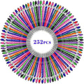 Qingxily Custom Pens Bulk - Up to 300 Personalized Stylus Ballpoint Pens With Free Engraving - Customized With Your Name, Text, Message for Business, Graduation, Anniversaries - Colorful 252 Pcs
